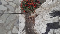 https://ludivinevangaver.de/files/gimgs/th-14_Photo_IMG_20210616_155337.jpg